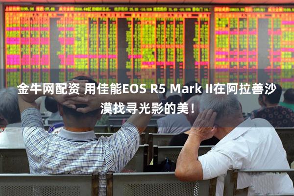 金牛网配资 用佳能EOS R5 Mark II在阿拉善沙漠找寻光影的美！