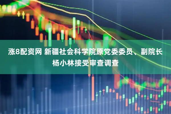 涨8配资网 新疆社会科学院原党委委员、副院长杨小林接受审查调查